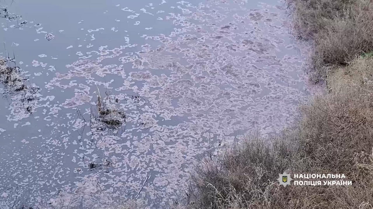 Виноробник з Білгород-Дністровського району завдав державі мільйонних збитків через забруднення земель