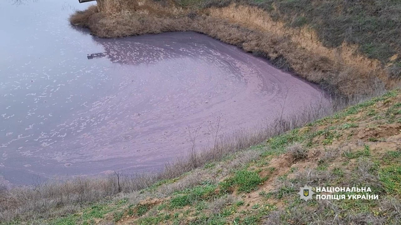 Виноробник з Білгород-Дністровського району завдав державі мільйонних збитків через забруднення земель