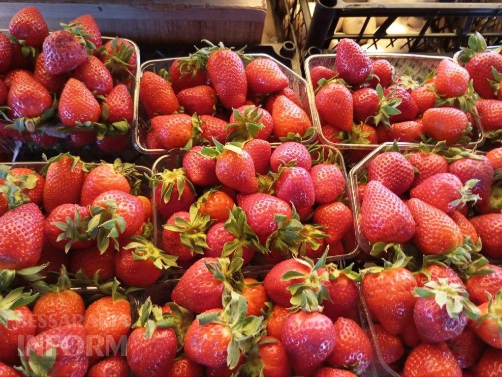 Сезон полуниці в Бессарабії цього року може стартувати пізніше: що відомо