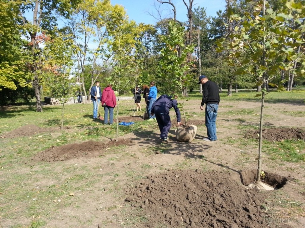 Іронія долі та пам’ять коріння: у Болграді висадили Алею вдячності там, де десять років тому не прижилася «політика»