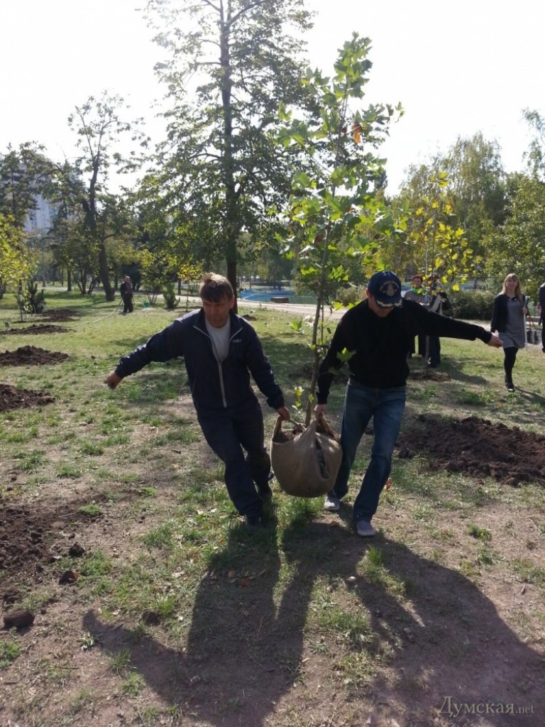 Іронія долі та пам’ять коріння: у Болграді висадили Алею вдячності там, де десять років тому не прижилася «політика»