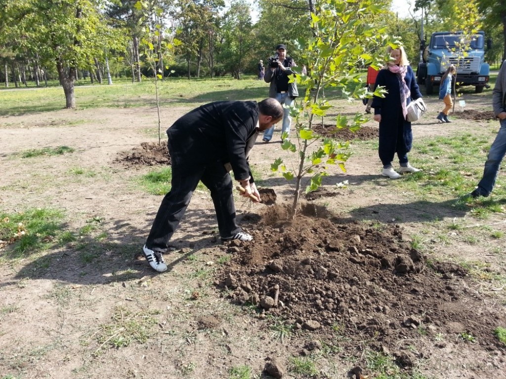 Іронія долі та пам’ять коріння: у Болграді висадили Алею вдячності там, де десять років тому не прижилася «політика»