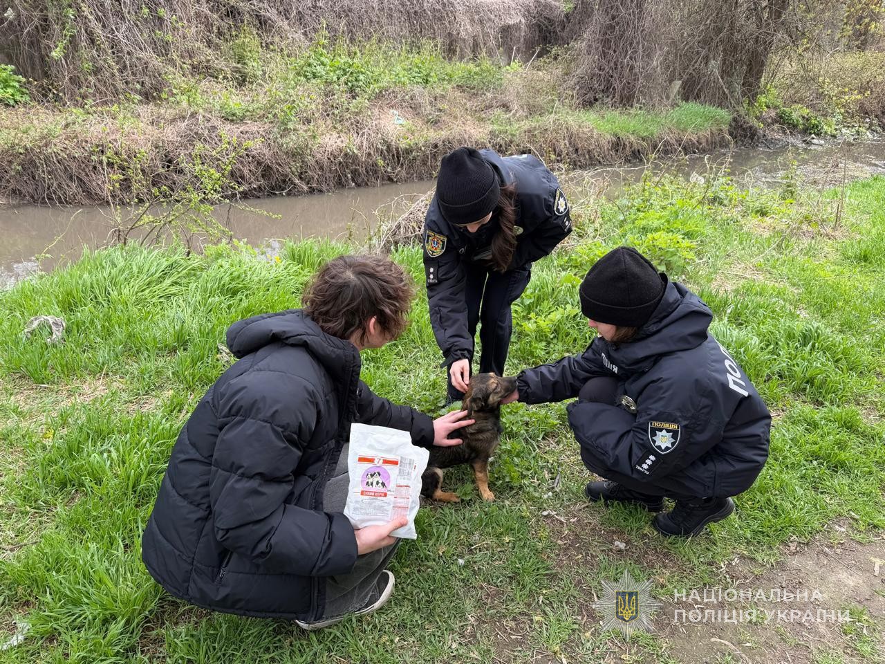 Ізмаїльські поліцейські зробили доброю традицією турботу про безпритульних тварин