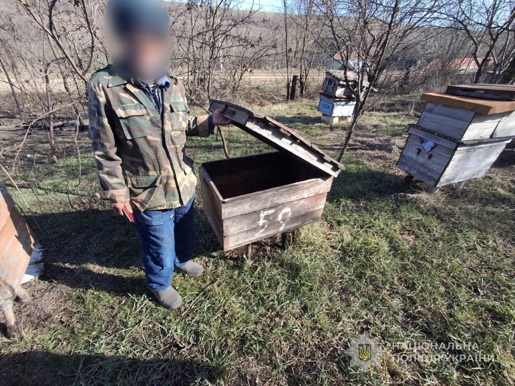 В Одеській області пенсіонер з рушниці поранив безпритульну собаку та вбив п'ятьох цуценят