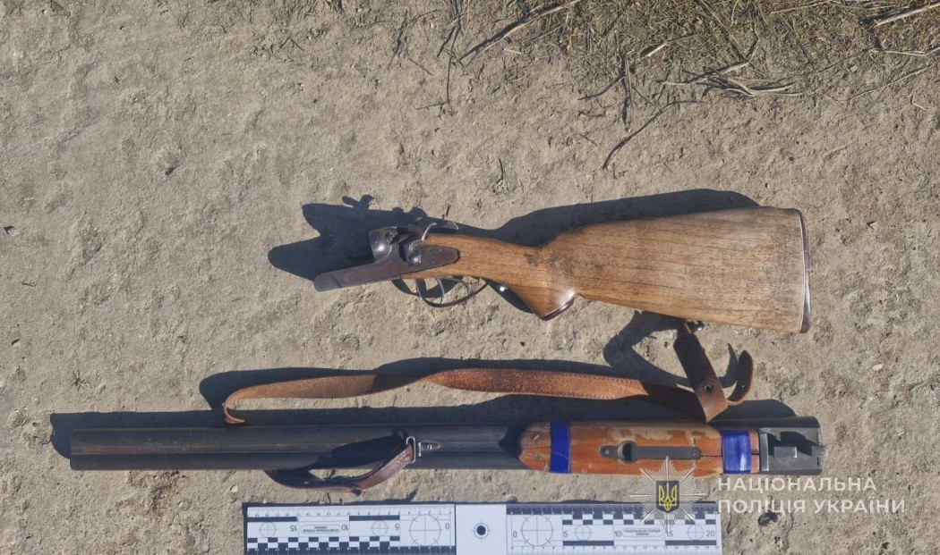 В Одеській області пенсіонер з рушниці поранив безпритульну собаку та вбив п'ятьох цуценят