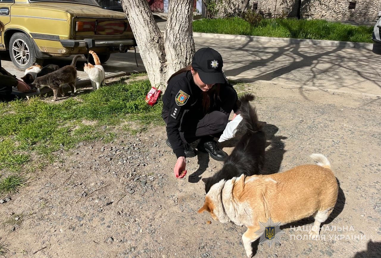 Ізмаїльські поліцейські зробили доброю традицією турботу про безпритульних тварин
