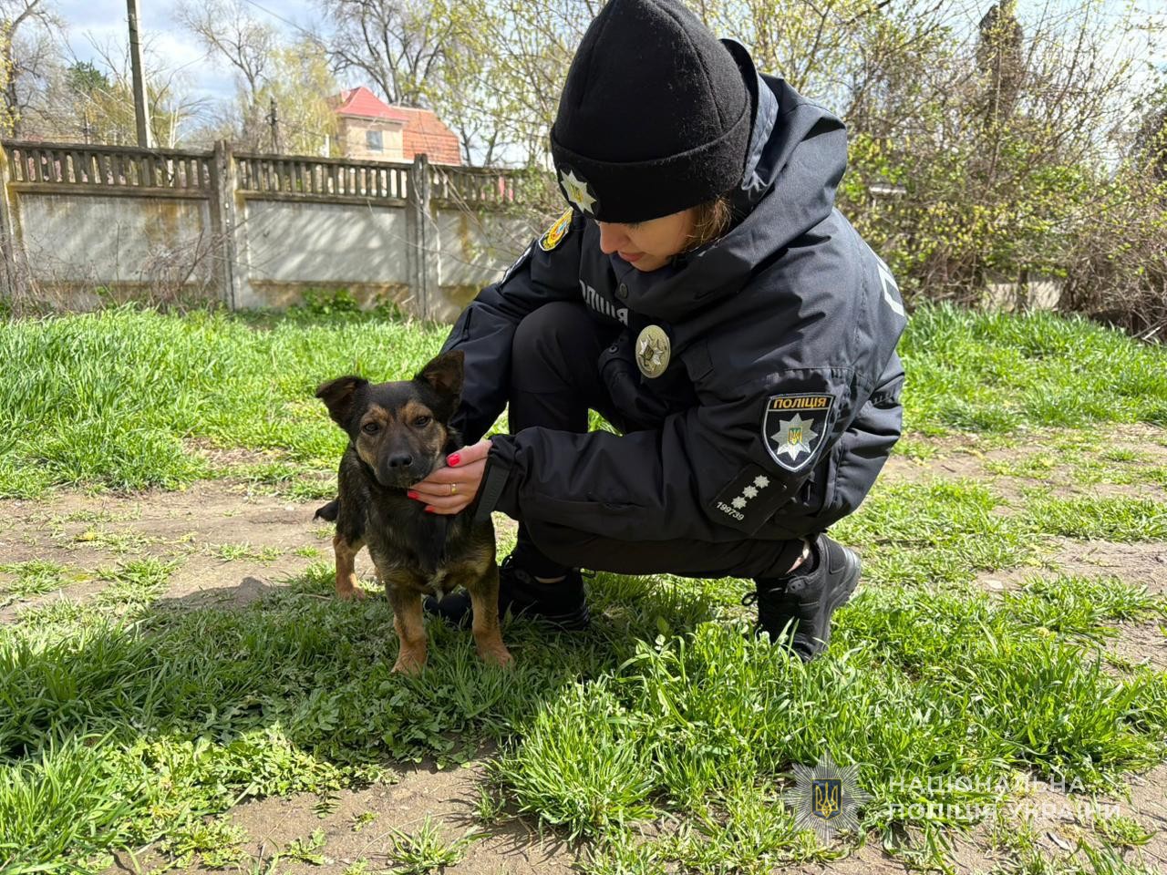 Ізмаїльські поліцейські зробили доброю традицією турботу про безпритульних тварин