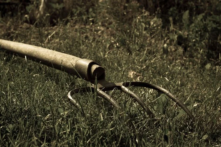 У Болграді засудили пенсіонера за побиття сусіда вилами: нападник має виплатити потерпілому понад півмільйона гривень