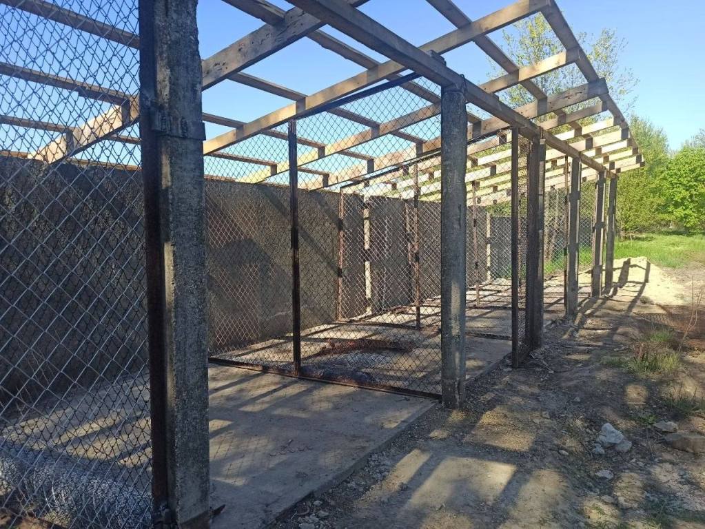 Арцизька громада намагається власними силами вирішити проблему з безпритульними тваринами