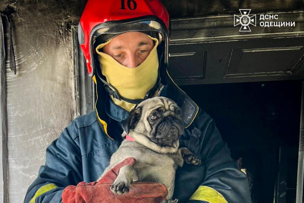 У селі Старокозаче надзвичайники врятували від пожежі будинок та чотирилапого члена родини