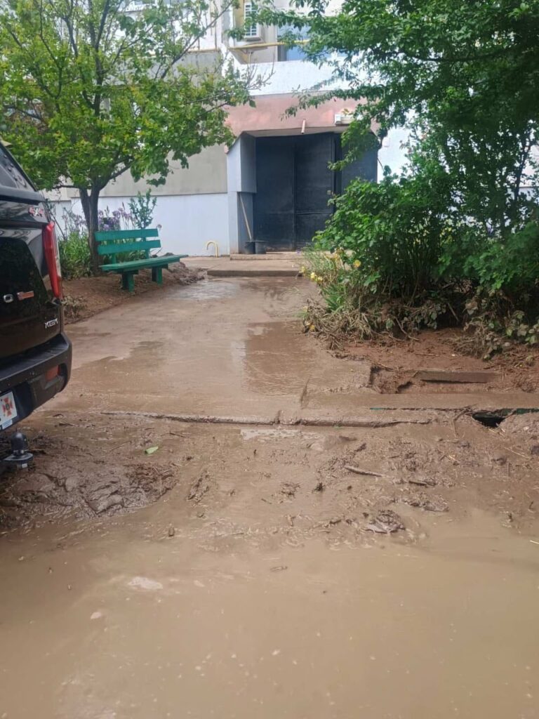 Очерет «наче ліс» та тонни сміття: що насправді заважає великій воді піти з вулиць Рені