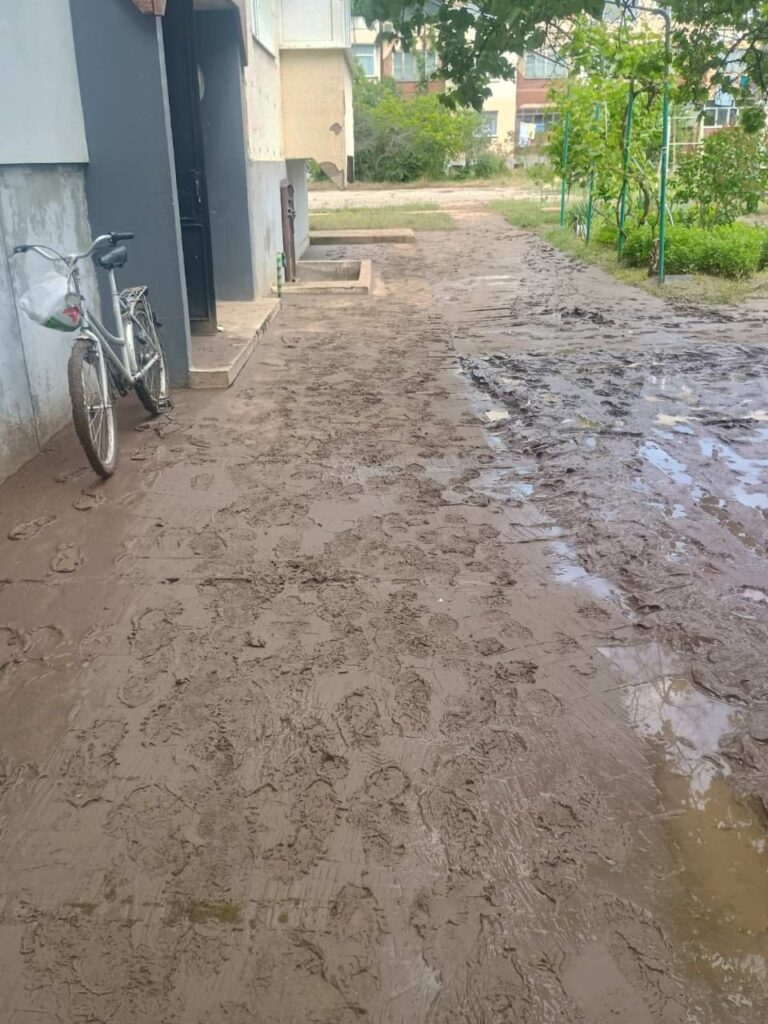 Очерет «наче ліс» та тонни сміття: що насправді заважає великій воді піти з вулиць Рені