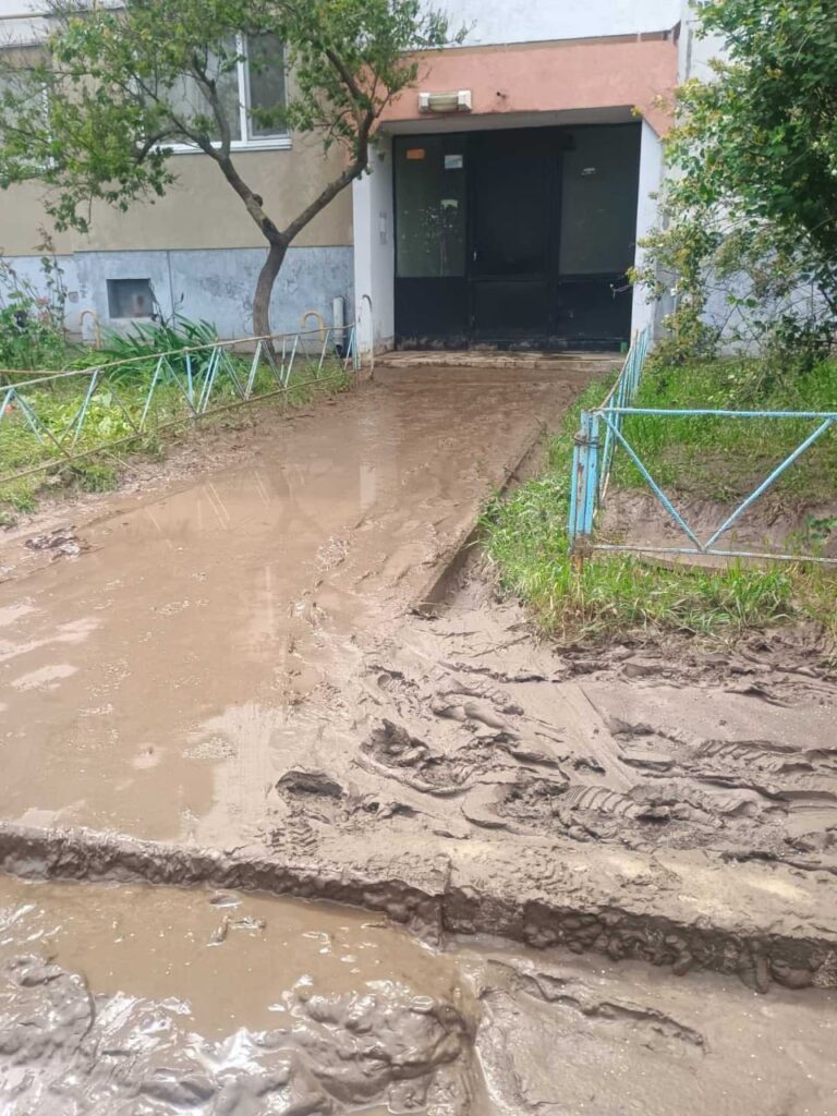 Очерет «наче ліс» та тонни сміття: що насправді заважає великій воді піти з вулиць Рені