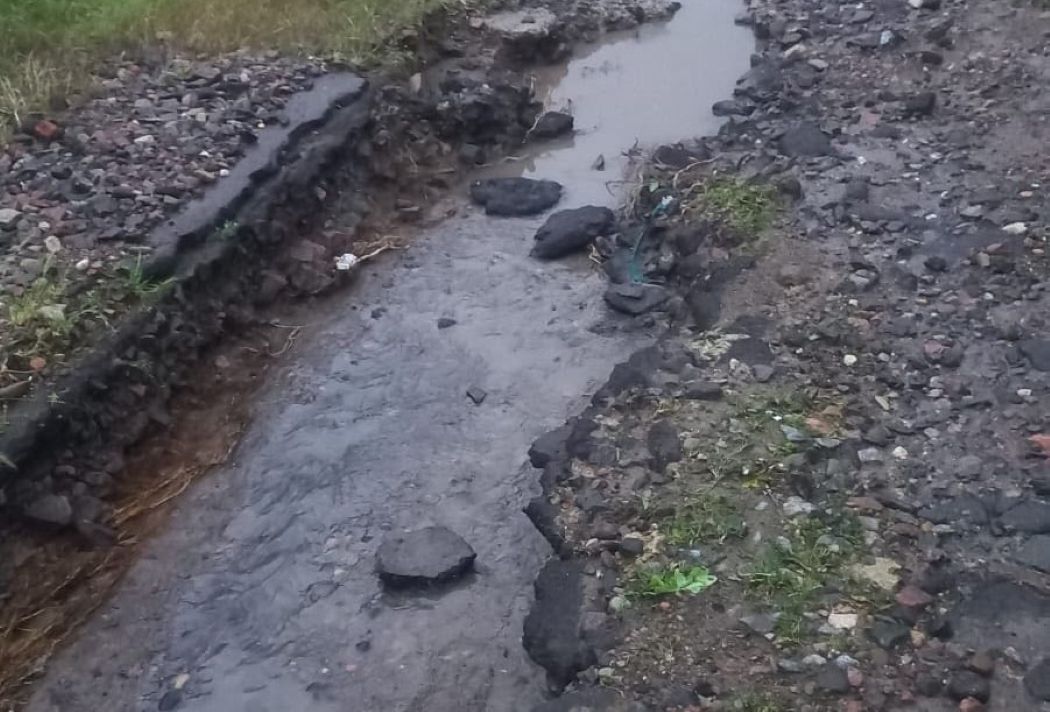 Очерет «наче ліс» та тонни сміття: що насправді заважає великій воді піти з вулиць Рені