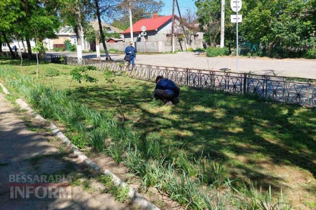 У Кілії курсанти допомогли комунальникам прибрати місцевий парк