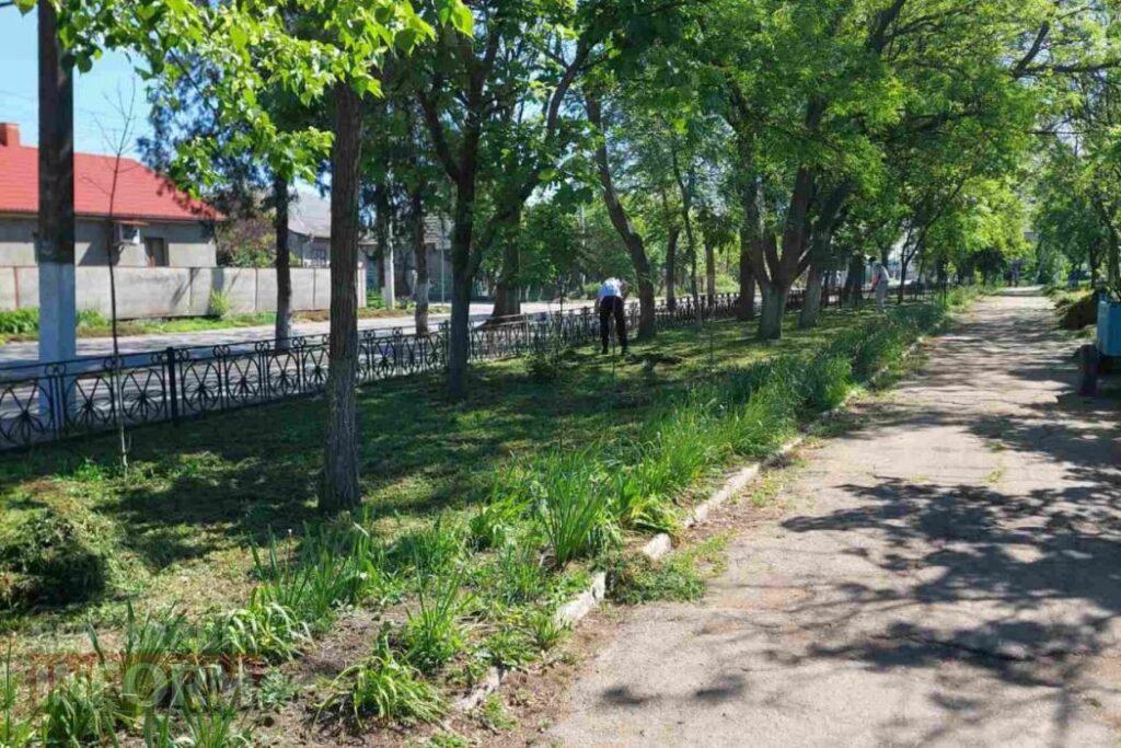 У Кілії курсанти допомогли комунальникам прибрати місцевий парк