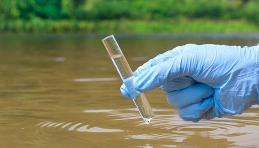 В Ізмаїльському районі заборонили використовувати воду з озера Ялпуг – причина