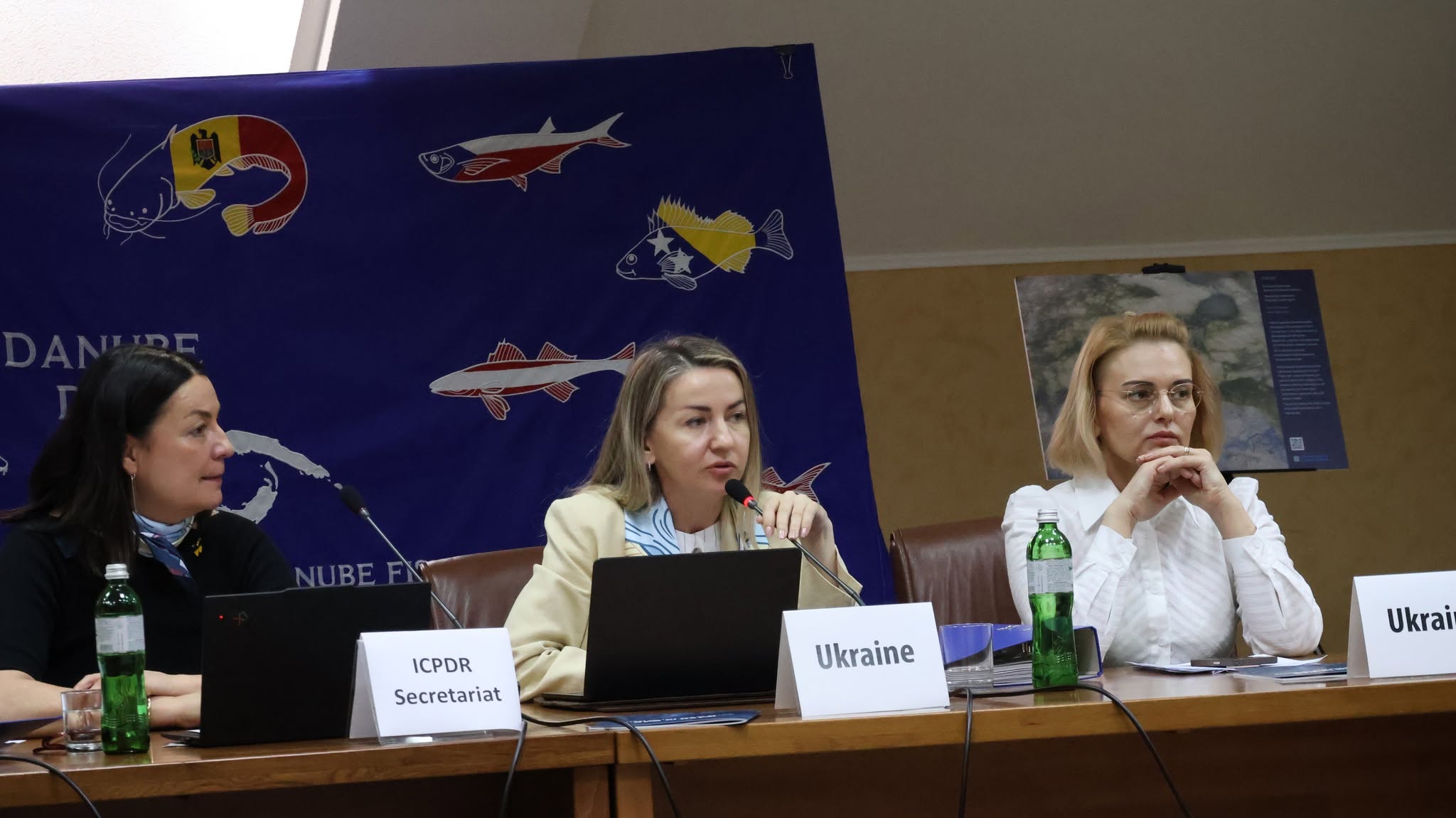 Міжнародна комісія із захисту Дунаю оцінить наслідки бойових дій для річки