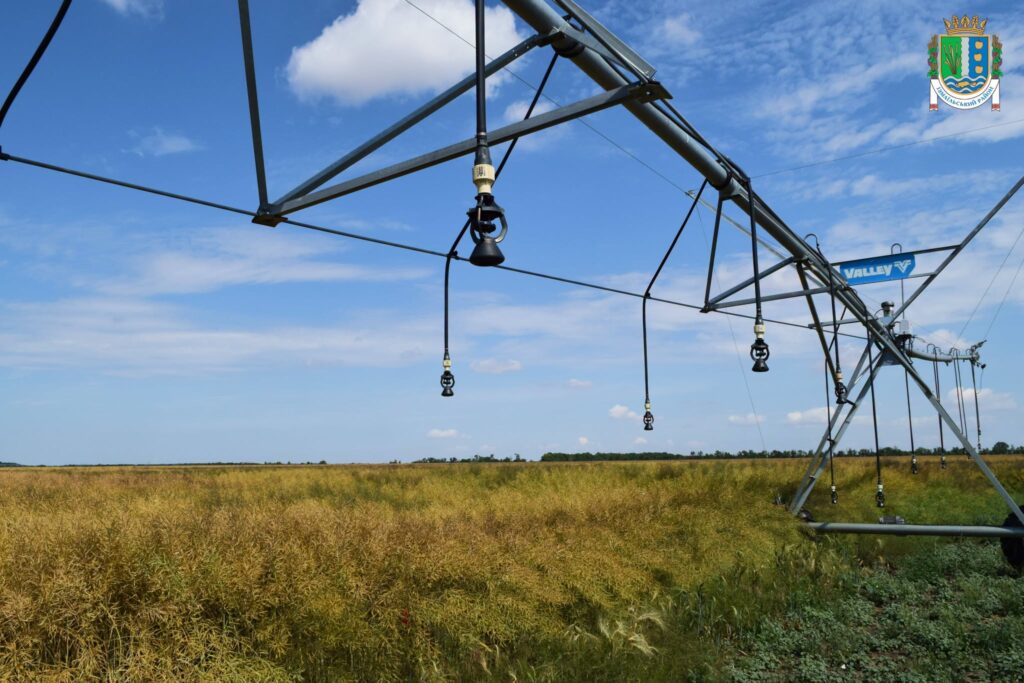 Жнива у розпалі, аграрії Ізмаїльщини вже зібрали 7 тисяч тон врожаю