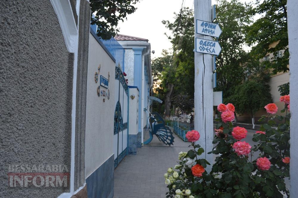 Трояндовий червень в Аккермані: місто, що розквітає біля кожного подвір’я