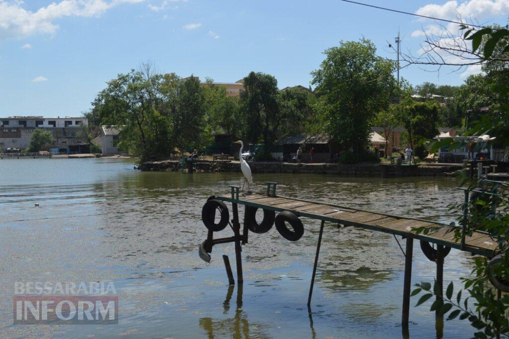 «Біля води своя гармонія»: у Білгороді-Дністровському ветерани з Київщини та Одещини змагалися в адаптивній риболовлі