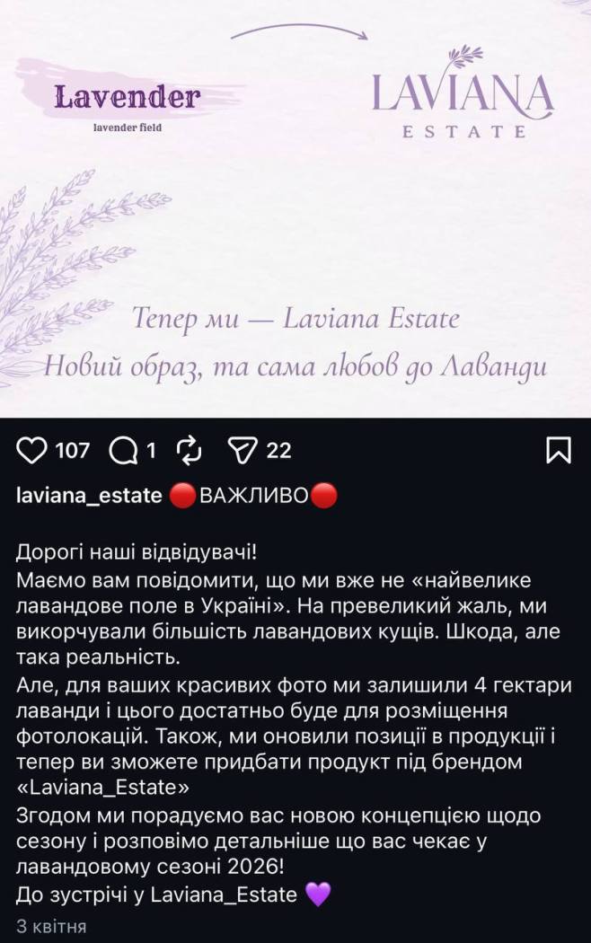 На півдні Одещини висохло найбільше в Україні лавандове поле, відоме фотосесіями