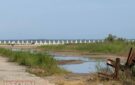 На Одещині введено особливий режим на узбережжі Чорного моря: що заборонено