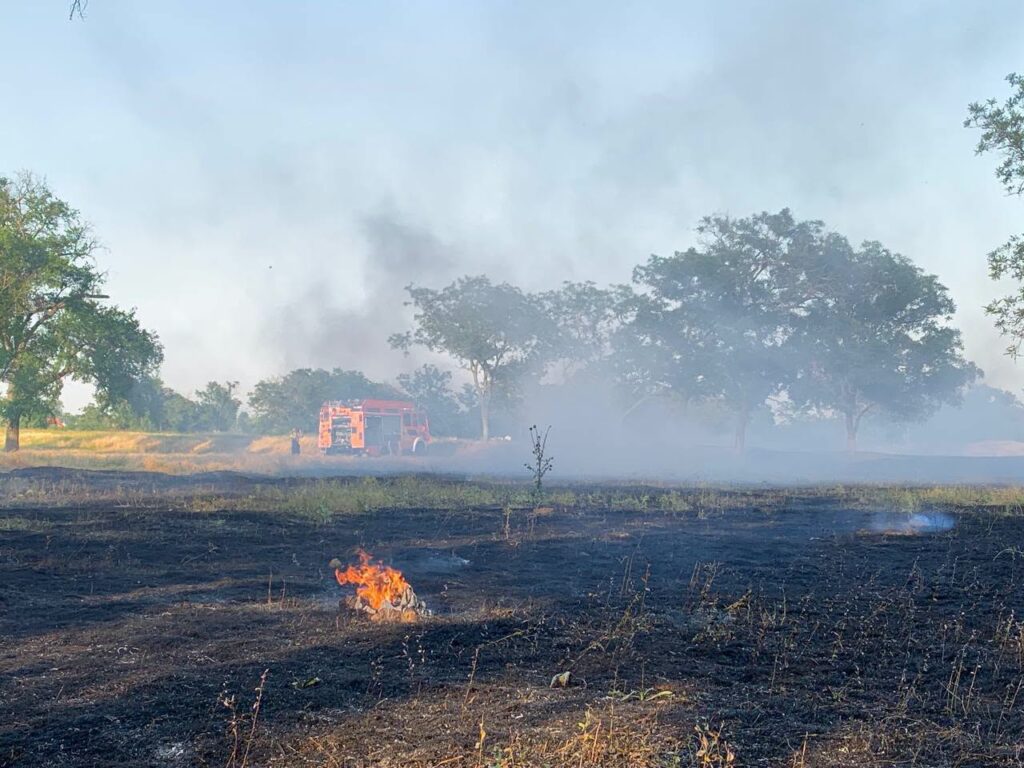 В Арцизькій громаді між річками Чага та Когильник палала лісопосадка: вогонь ледь не знищив місцеву екосистему