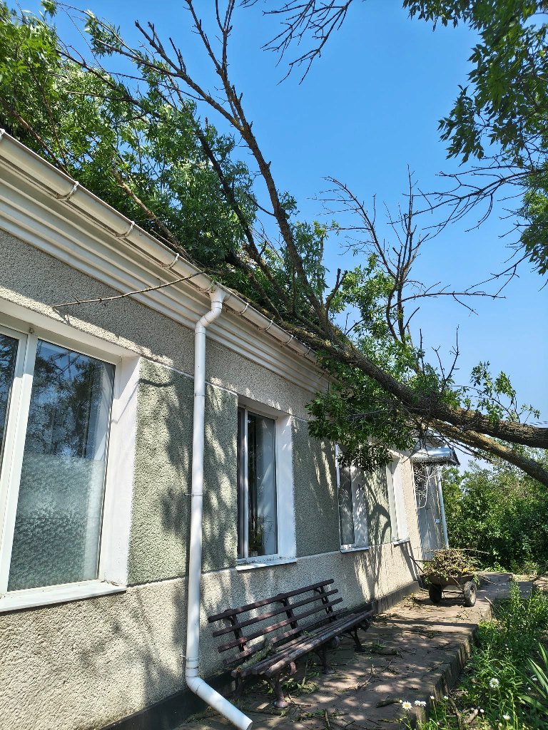 Позривало дахи та повалило дерева: у Татарбунарській громаді ліквідовують наслідки негоди