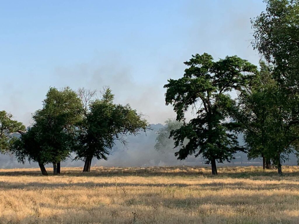 В Арцизькій громаді між річками Чага та Когильник палала лісопосадка: вогонь ледь не знищив місцеву екосистему