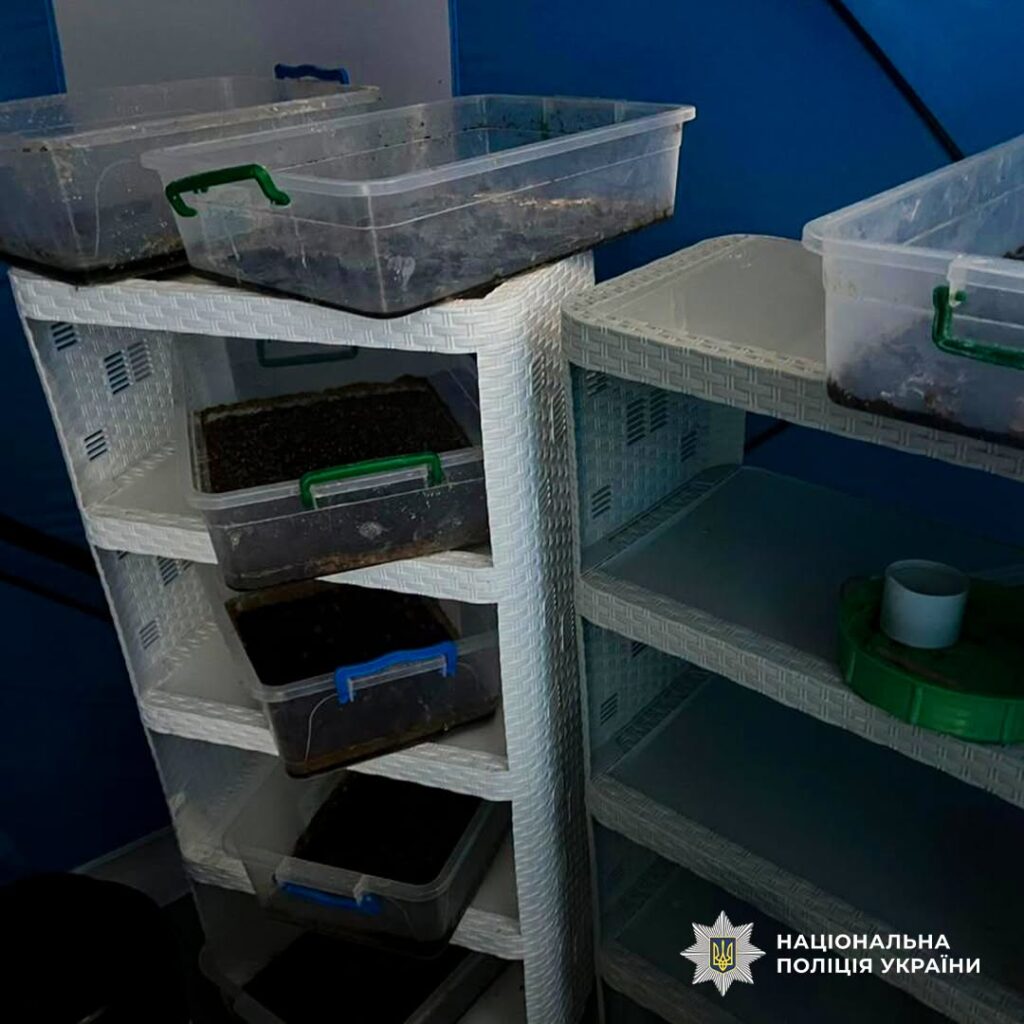 23-річна мешканка Одещини організувала наркосиндикат у п’яти областях