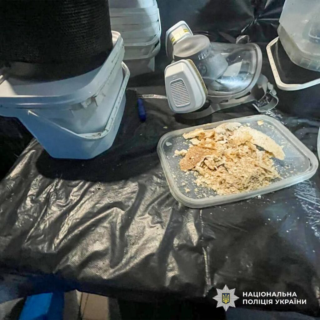 23-річна мешканка Одещини організувала наркосиндикат у п’яти областях