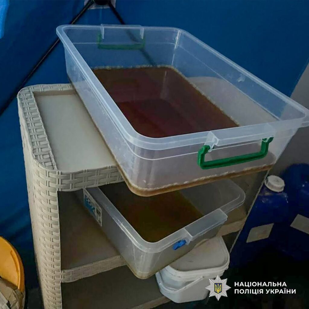 23-річна мешканка Одещини організувала наркосиндикат у п’яти областях