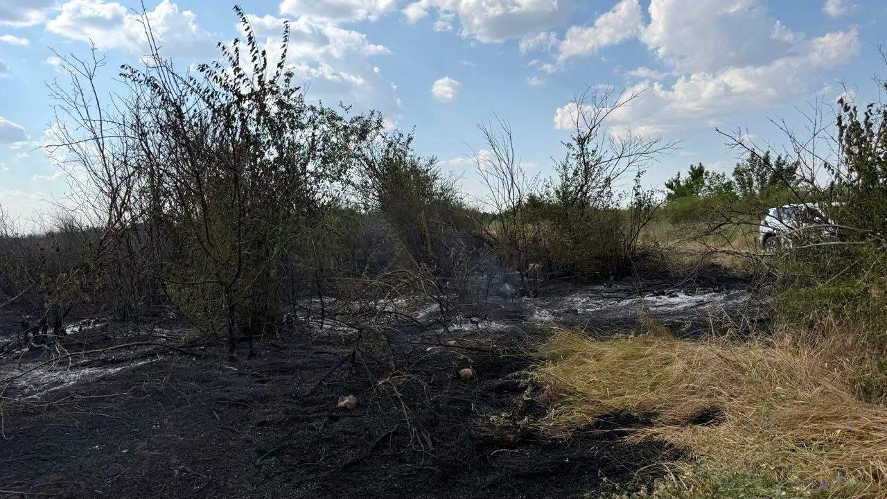 У Білгород-Дністровському районі загорілося сміттєзвалище, вогонь перекинувся на ліс
