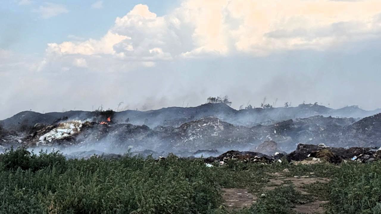 У Білгород-Дністровському районі загорілося сміттєзвалище, вогонь перекинувся на ліс