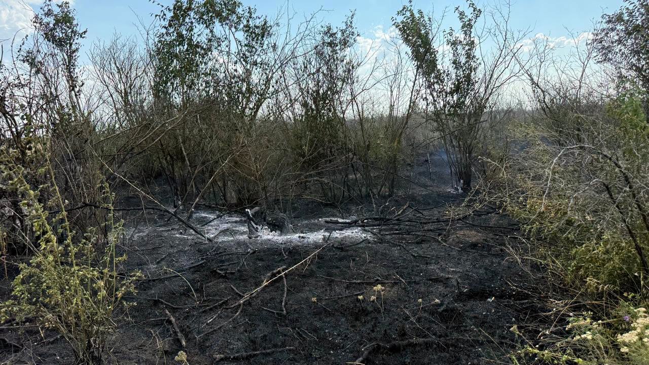 У Білгород-Дністровському районі загорілося сміттєзвалище, вогонь перекинувся на ліс