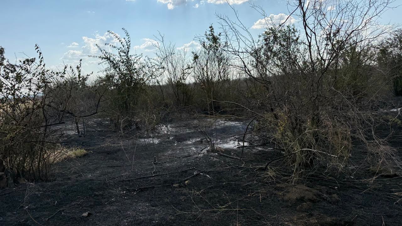 У Білгород-Дністровському районі загорілося сміттєзвалище, вогонь перекинувся на ліс