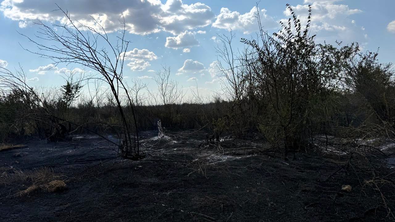 У Білгород-Дністровському районі загорілося сміттєзвалище, вогонь перекинувся на ліс