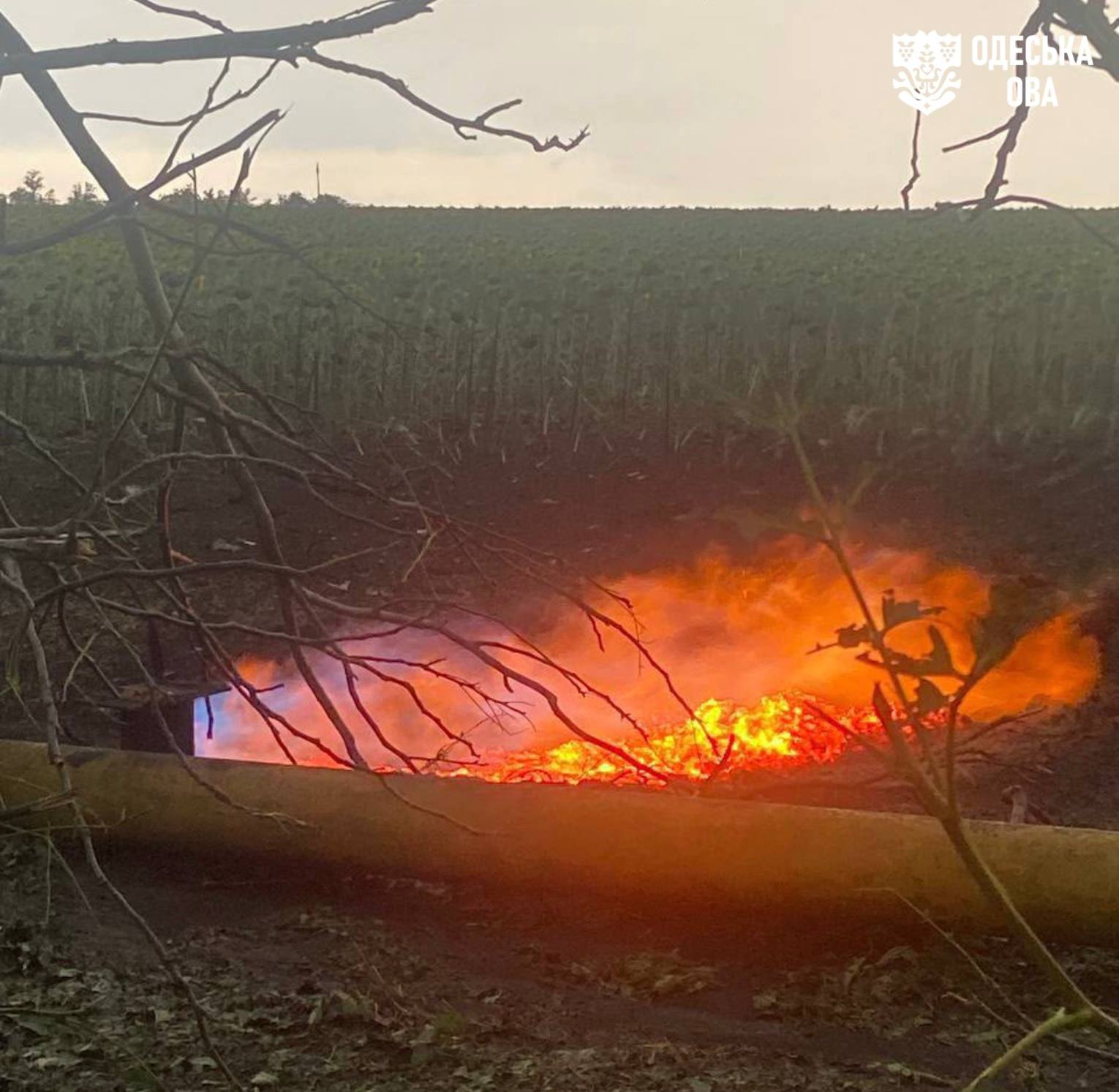 Внаслідок ворожої атаки на Одещину загинула жінка