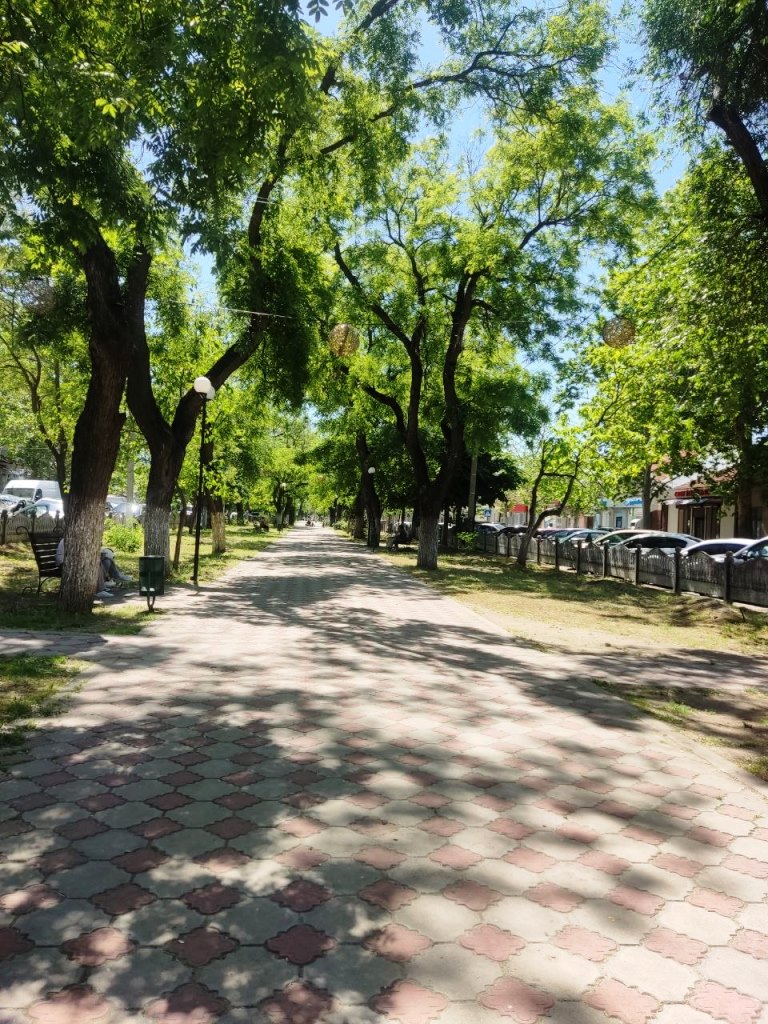 Підготовка до 205-річчя Болграда викликала дискусію серед мешканців: що відповіла влада