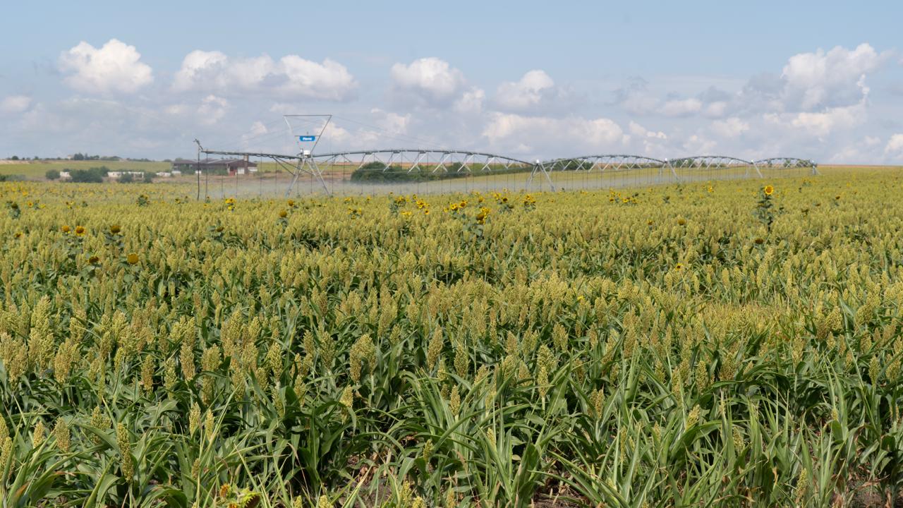 Агровиробникам Одещини продемонстрували американські технології для модернізації зрошення