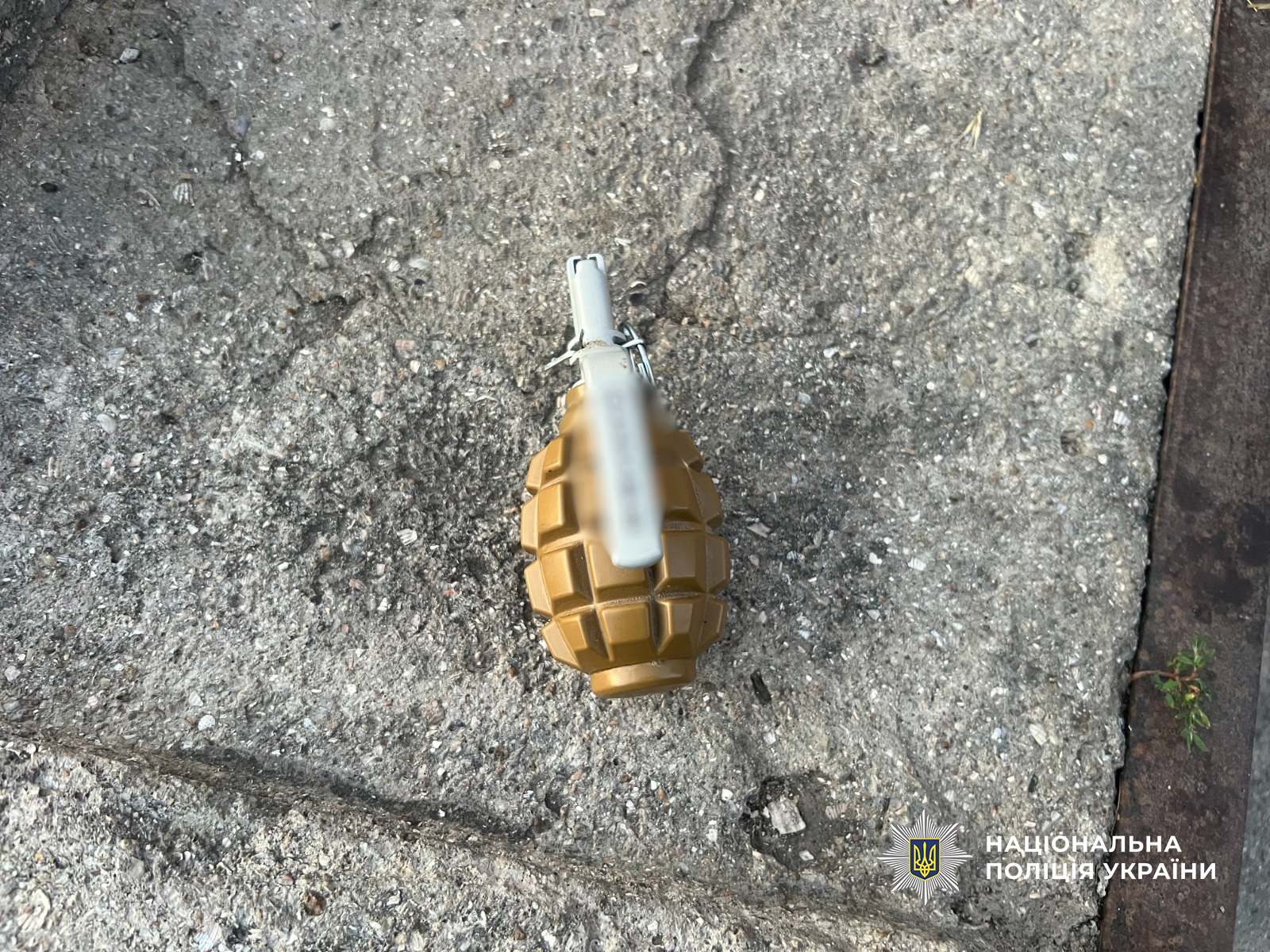 На Одещині судитимуть домашнього тирана, який погрожував поліцейським муляжем гранати