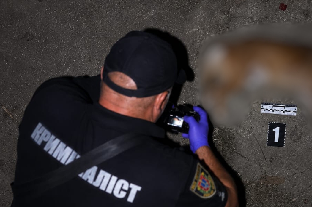 У Татарбунарській громаді чоловік застрелив сусідського собаку