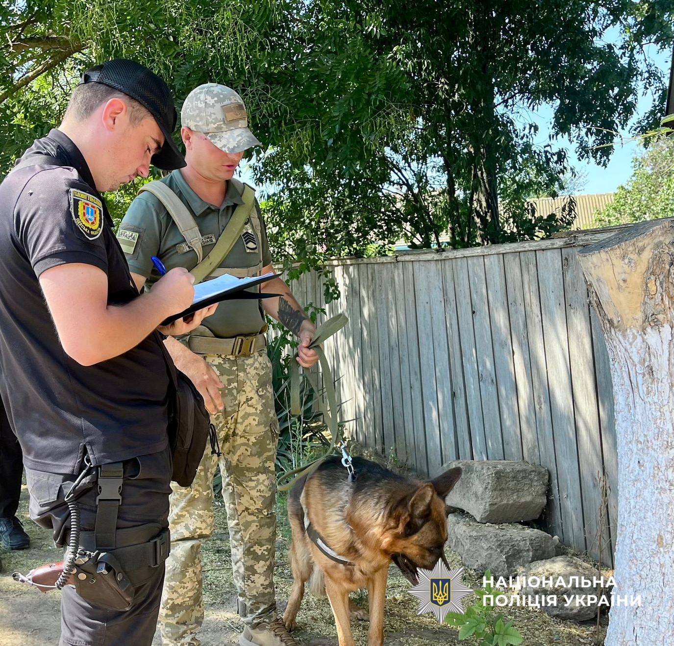 В Ізмаїльському районі на сміттєзвалищі знайдено тіло зниклої дівчини у мішку