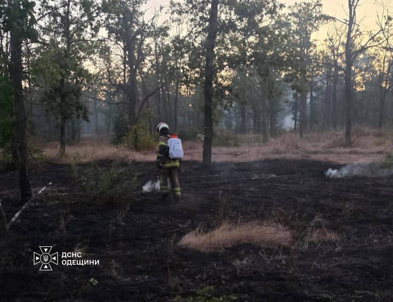 Під атакою ворога продовольство та енергетика Одещини
