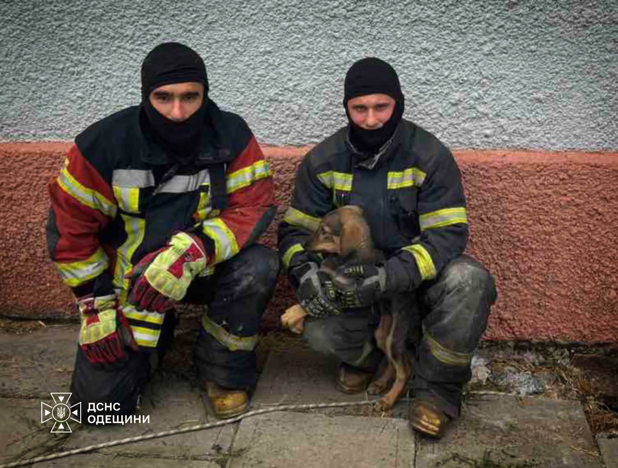 Рятувальники Одещини визволили із пастки цуценя
