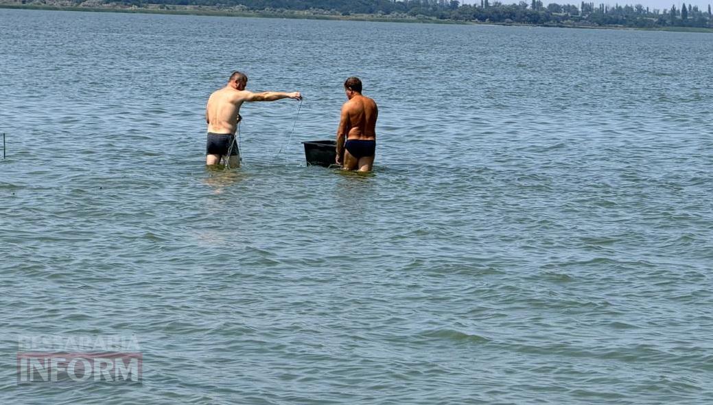 Дністровський лиман стає «морем»: як кліматичні зміни диктують нові правила для рибалок