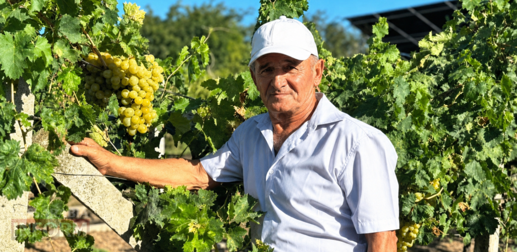«В бізнесі головне — характер, а не гроші. Є характер — будуть і гроші», — історія постійного пошуку та ціна успіху підприємця з Болграда Анатолія Хрістєва
