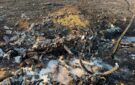 У ДБР назвали місце падіння винищувача МІГ на Одещині: деталі розслідування