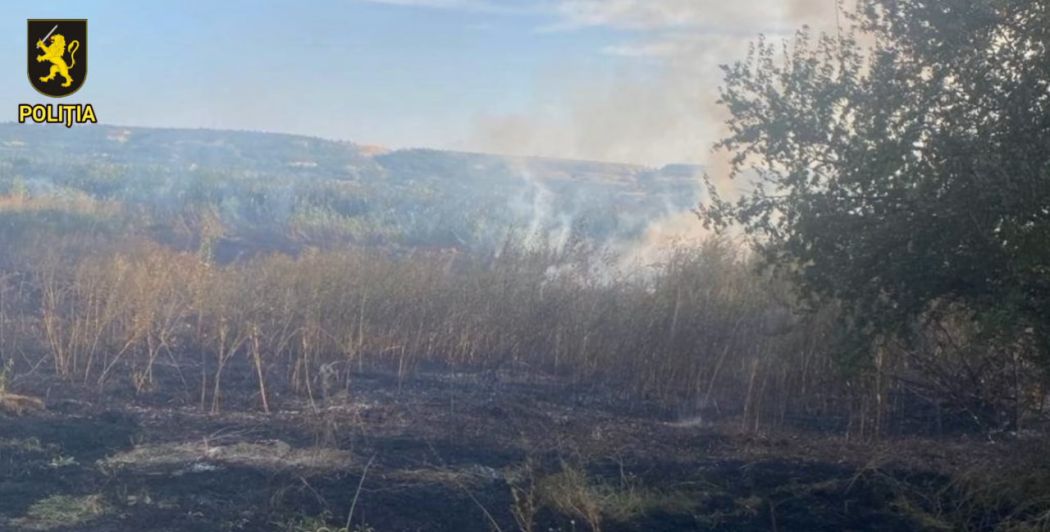 Під час атаки Одещини дрон-ракета залетів на територію Молдови та спалив поле з кукурудзою